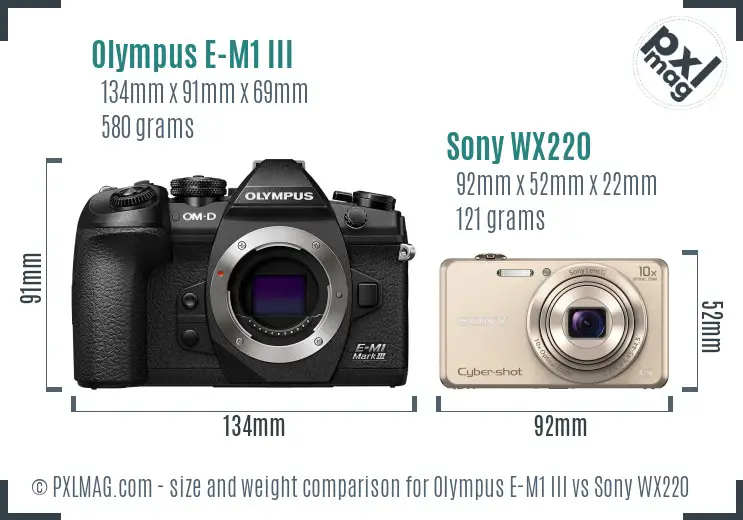 Olympus E-M1 III vs Sony WX220 size comparison