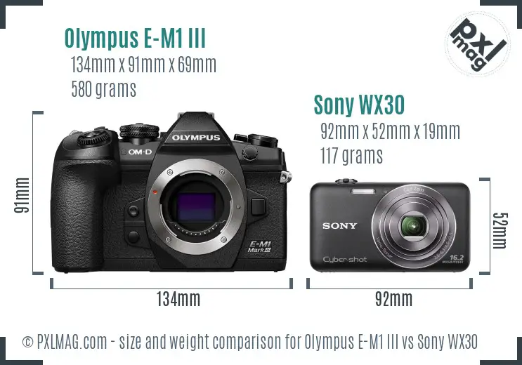 Olympus E-M1 III vs Sony WX30 size comparison