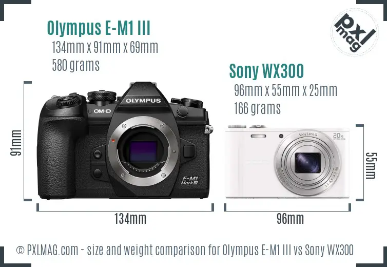 Olympus E-M1 III vs Sony WX300 size comparison