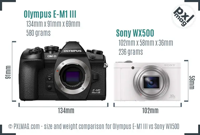 Olympus E-M1 III vs Sony WX500 size comparison
