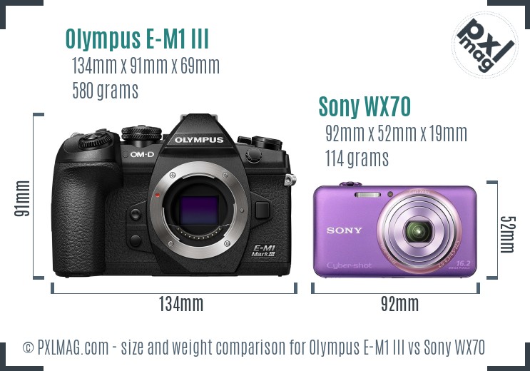 Olympus E-M1 III vs Sony WX70 size comparison