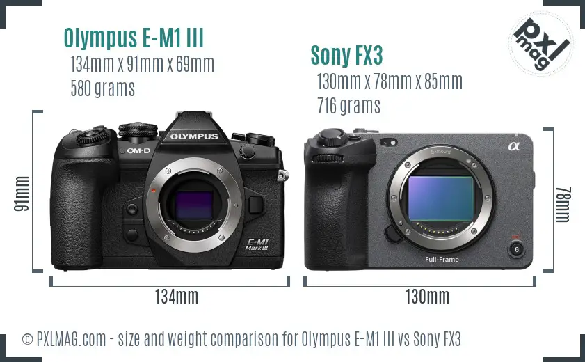 Olympus E-M1 III vs Sony FX3 size comparison