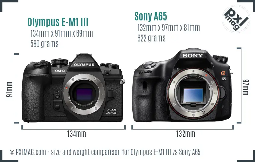 Olympus E-M1 III vs Sony A65 size comparison