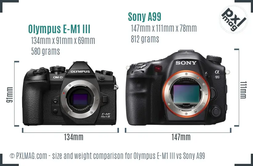 Olympus E-M1 III vs Sony A99 size comparison