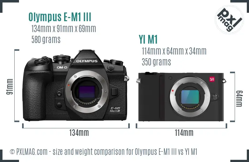 Olympus E-M1 III vs YI M1 size comparison