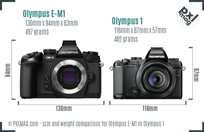 Olympus E-M1 vs Olympus 1 size comparison
