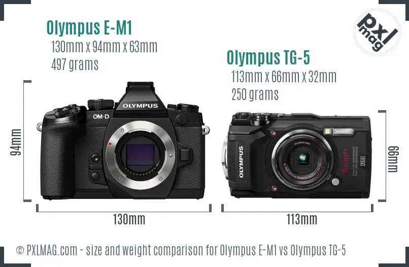 Olympus E-M1 vs Olympus TG-5 size comparison