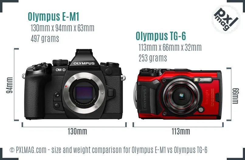 Olympus E-M1 vs Olympus TG-6 size comparison