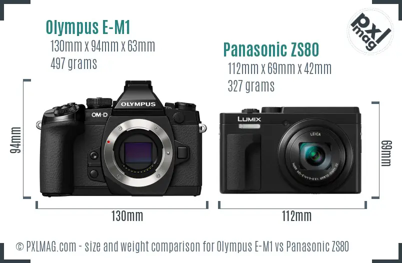 Olympus E-M1 vs Panasonic ZS80 size comparison