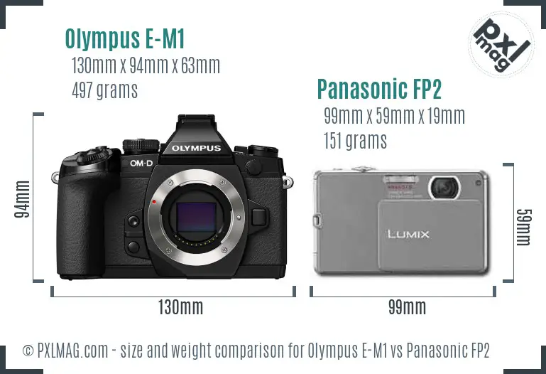 Olympus E-M1 vs Panasonic FP2 size comparison
