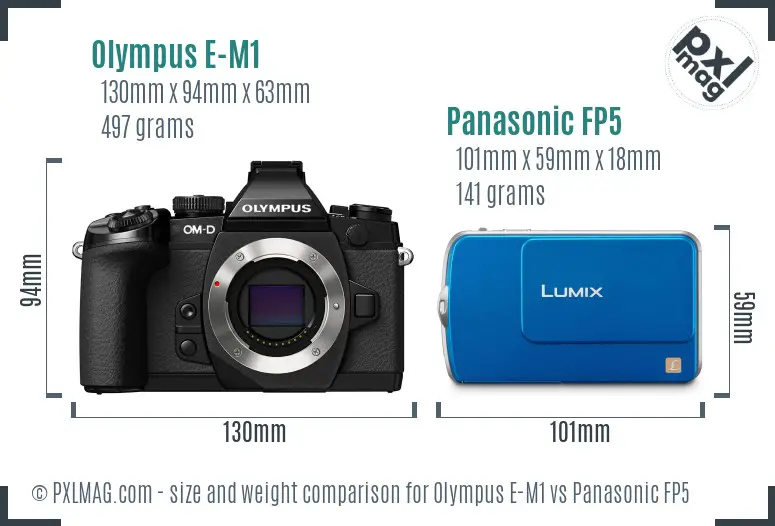 Olympus E-M1 vs Panasonic FP5 size comparison