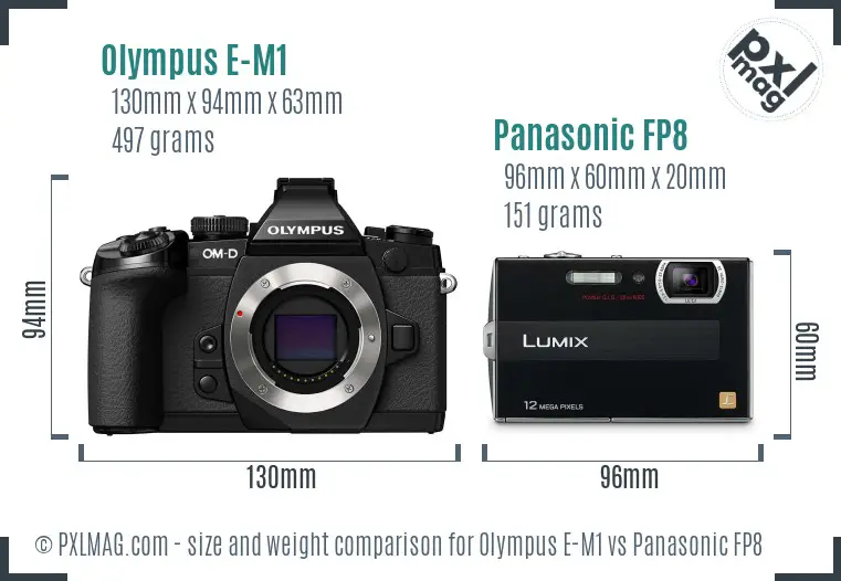 Olympus E-M1 vs Panasonic FP8 size comparison