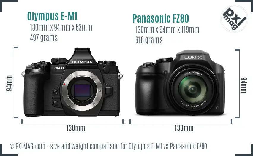 Olympus E-M1 vs Panasonic FZ80 size comparison