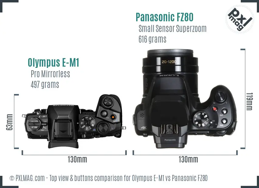 Olympus E-M1 vs Panasonic FZ80 top view buttons comparison