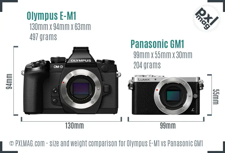 Olympus E-M1 vs Panasonic GM1 size comparison