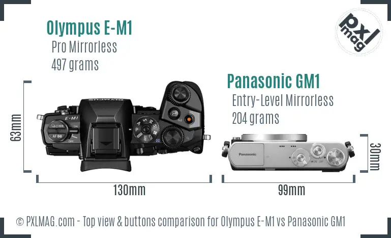 Olympus E-M1 vs Panasonic GM1 top view buttons comparison
