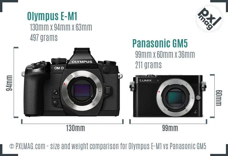 Olympus E-M1 vs Panasonic GM5 size comparison Olympus E-M1 vs Panasonic GM5 size comparison
