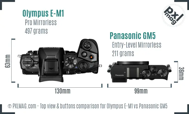 Olympus E-M1 vs Panasonic GM5 top view buttons comparison Olympus E-M1 vs Panasonic GM5 top view buttons comparison