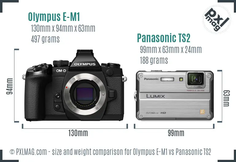 Olympus E-M1 vs Panasonic TS2 size comparison