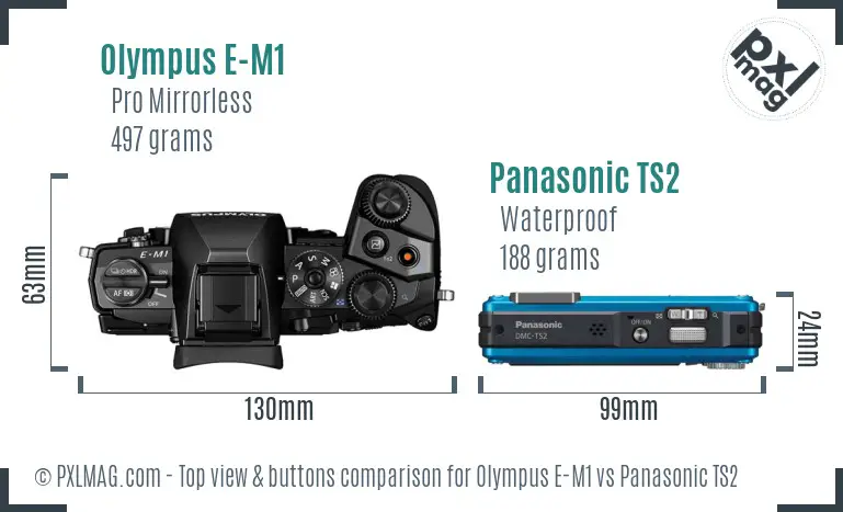 Olympus E-M1 vs Panasonic TS2 top view buttons comparison