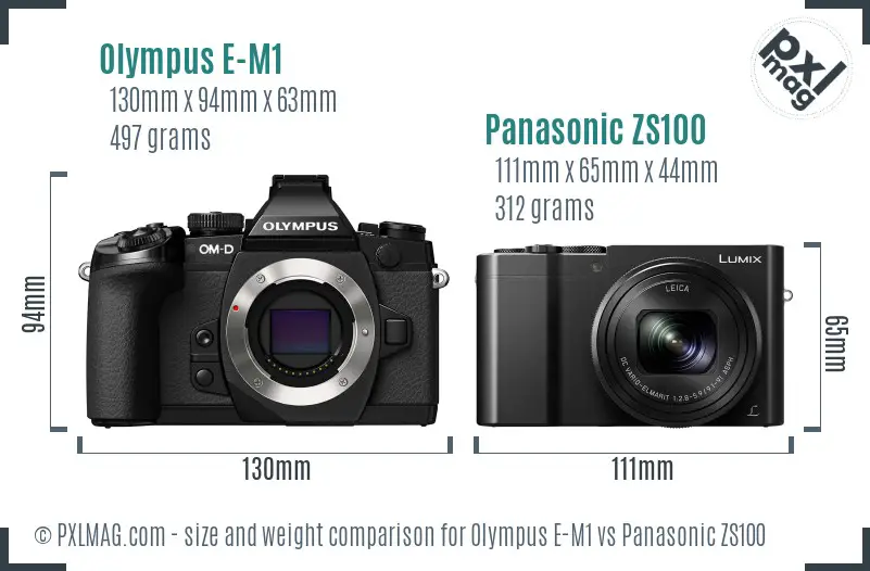 Olympus E-M1 vs Panasonic ZS100 size comparison