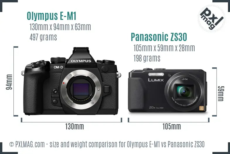 Olympus E-M1 vs Panasonic ZS30 size comparison