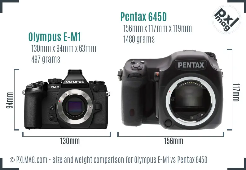 Olympus E-M1 vs Pentax 645D size comparison