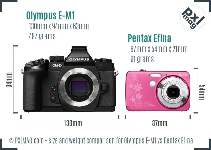 Olympus E-M1 vs Pentax Efina size comparison