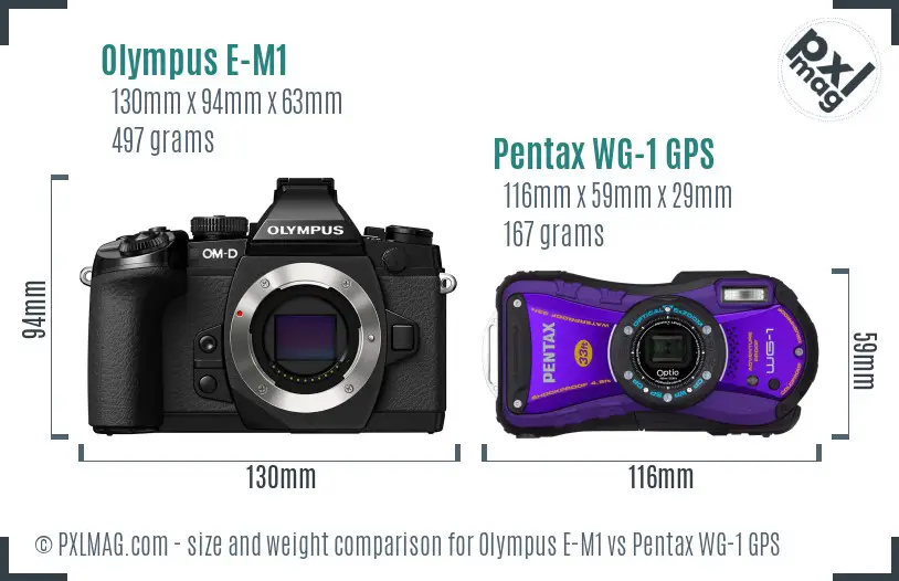 Olympus E-M1 vs Pentax WG-1 GPS size comparison