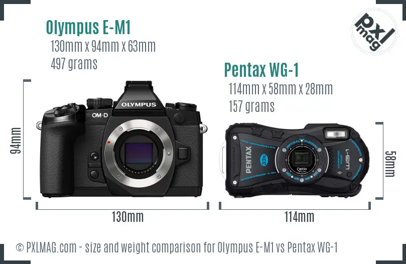 Olympus E-M1 vs Pentax WG-1 size comparison