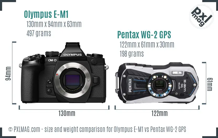 Olympus E-M1 vs Pentax WG-2 GPS size comparison