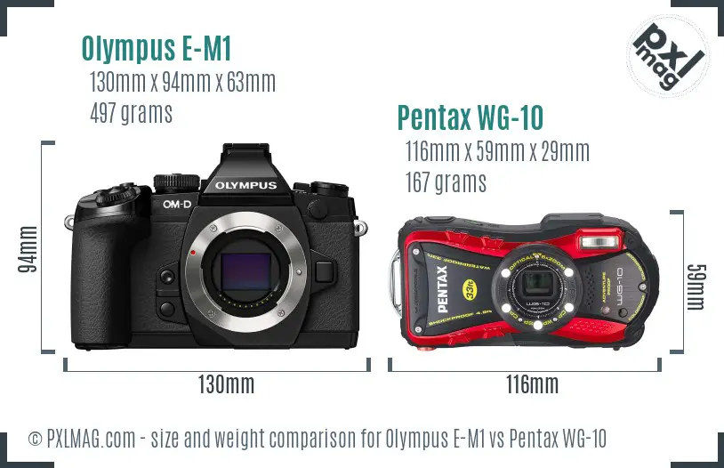 Olympus E-M1 vs Pentax WG-10 size comparison