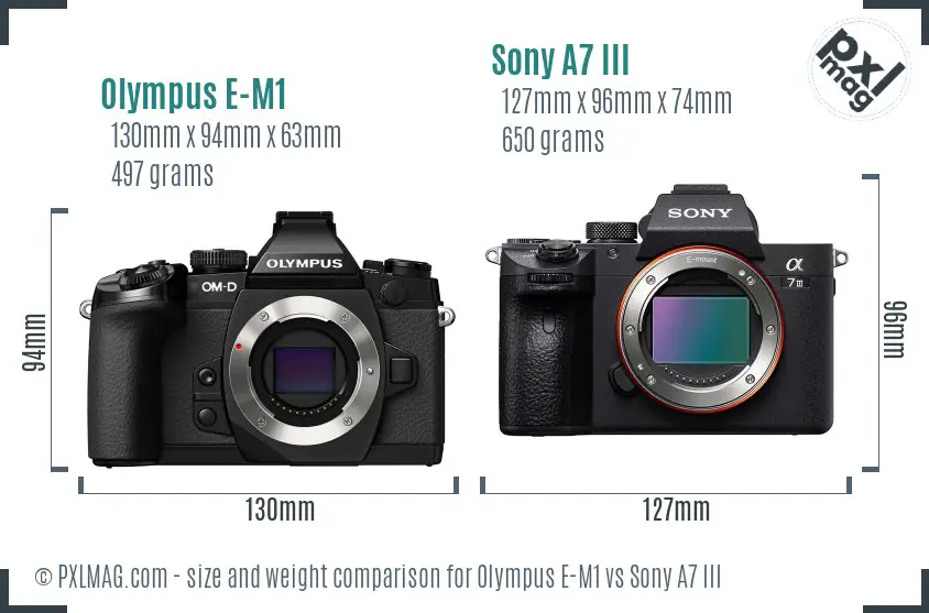 Olympus E-M1 vs Sony A7 III size comparison