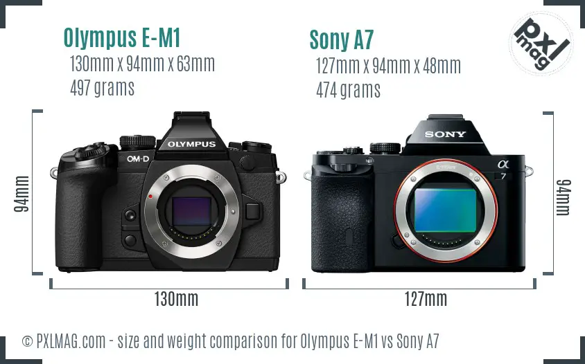 Olympus E-M1 vs Sony A7 size comparison