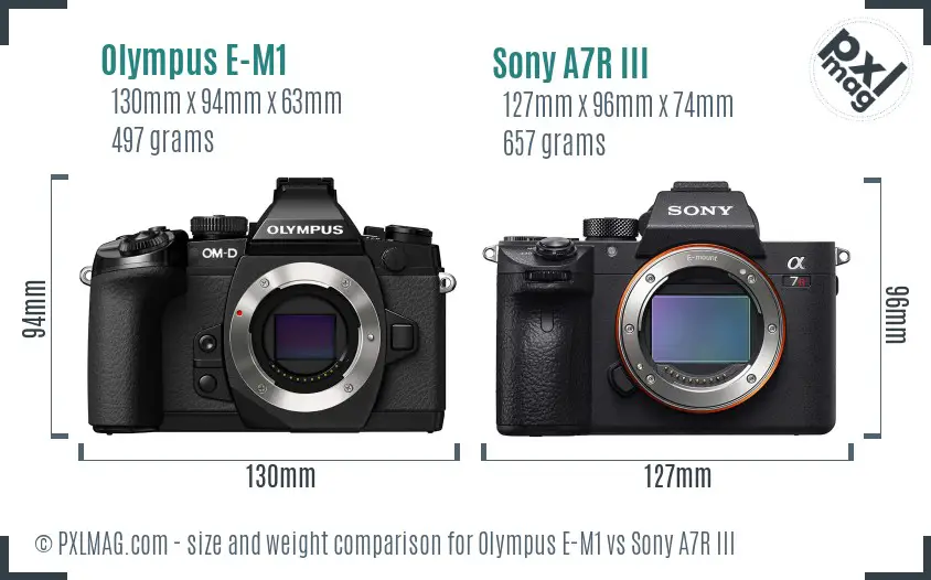 Olympus E-M1 vs Sony A7R III size comparison