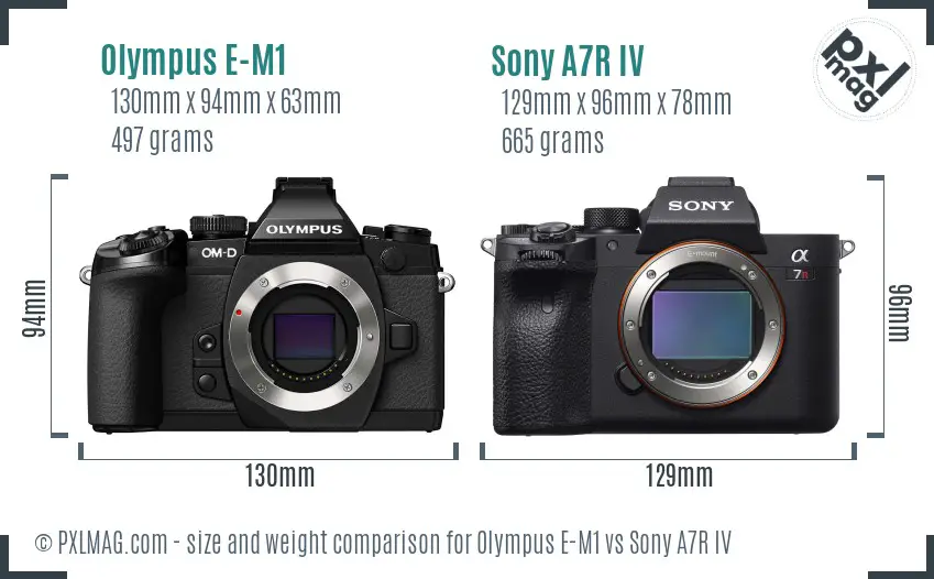 Olympus E-M1 vs Sony A7R IV size comparison