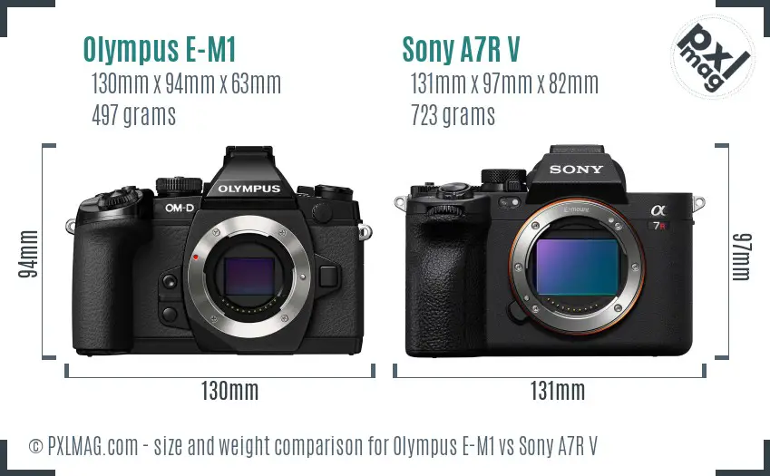 Olympus E-M1 vs Sony A7R V size comparison