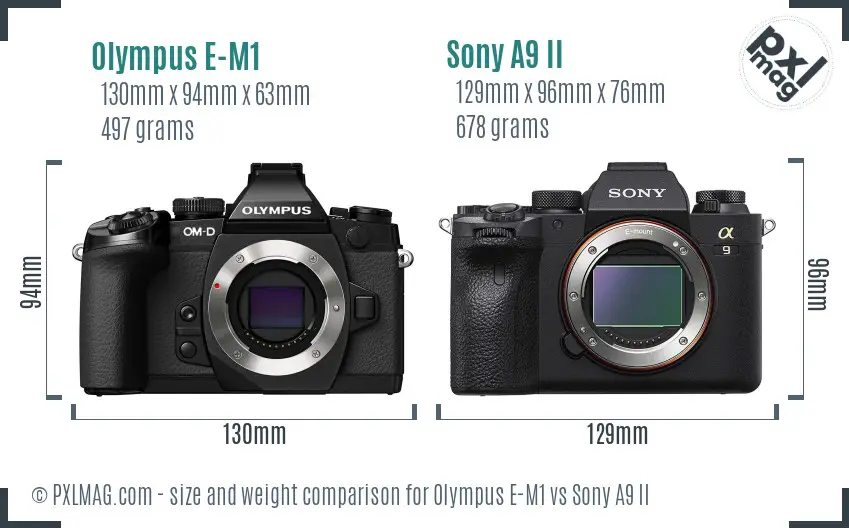 Olympus E-M1 vs Sony A9 II size comparison
