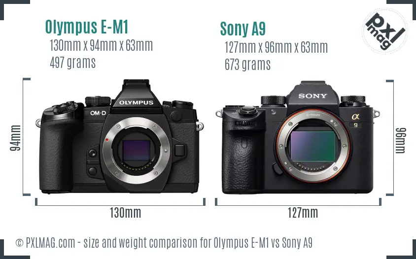 Olympus E-M1 vs Sony A9 size comparison