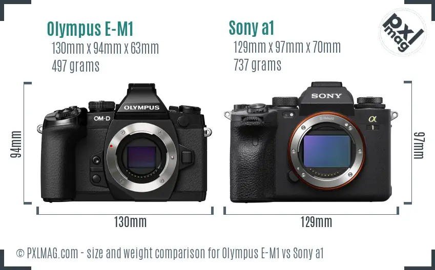 Olympus E-M1 vs Sony a1 size comparison