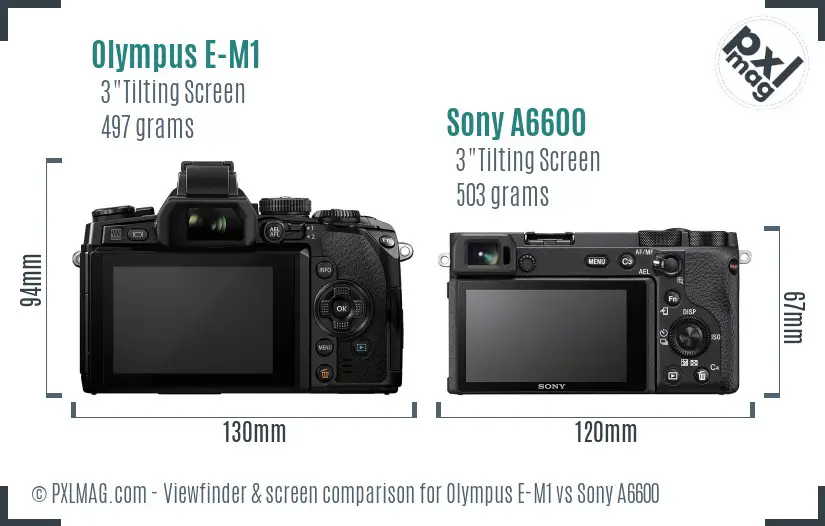 Olympus E-M1 vs Sony A6600 Screen and Viewfinder comparison