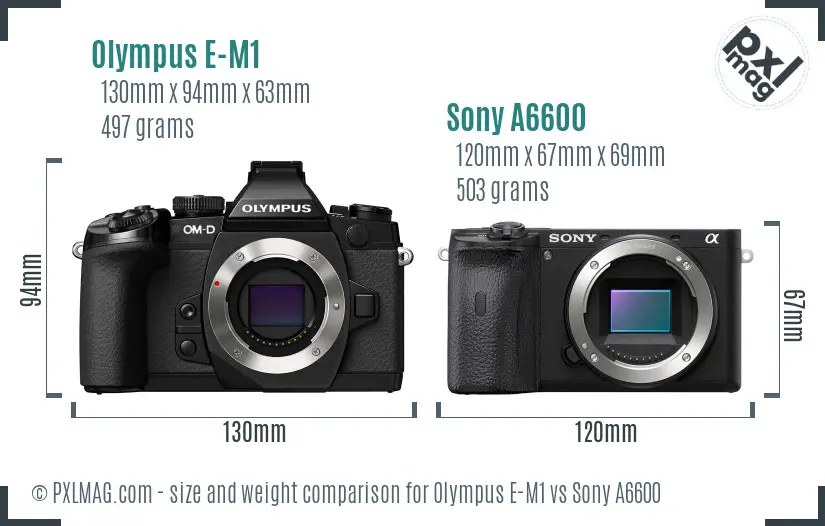 Olympus E-M1 vs Sony A6600 size comparison