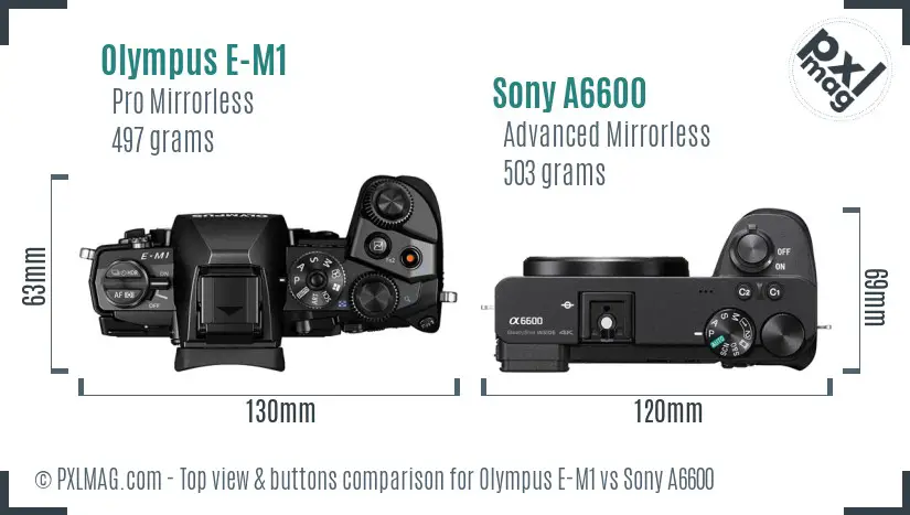 Olympus E-M1 vs Sony A6600 top view buttons comparison