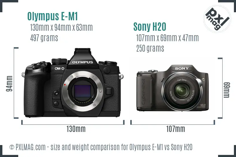 Olympus E-M1 vs Sony H20 size comparison
