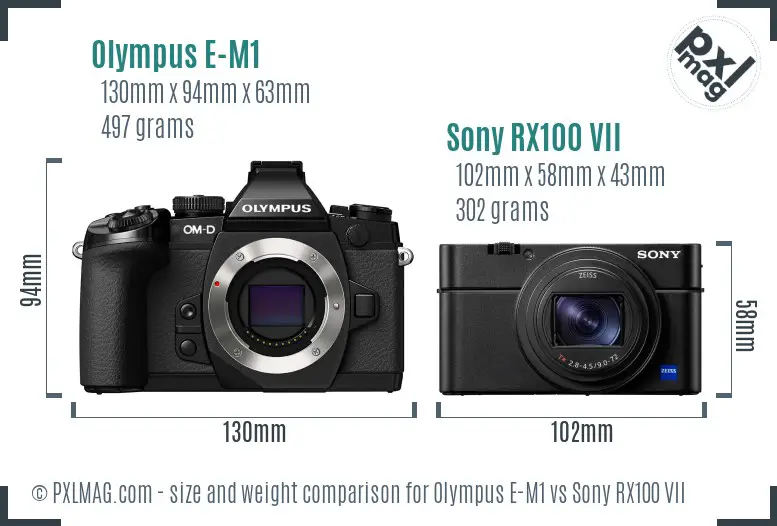 Olympus E-M1 vs Sony RX100 VII size comparison