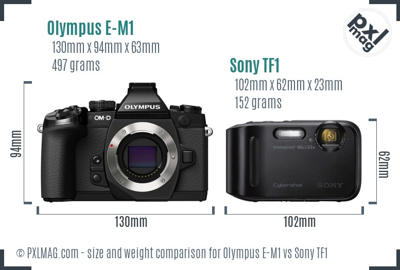 Olympus E-M1 vs Sony TF1 size comparison