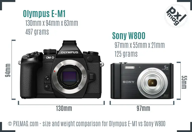 Olympus E-M1 vs Sony W800 size comparison