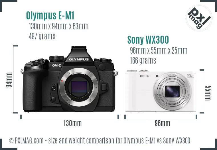 Olympus E-M1 vs Sony WX300 size comparison