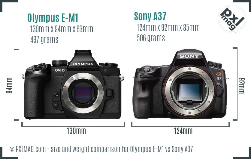 Olympus E-M1 vs Sony A37 size comparison