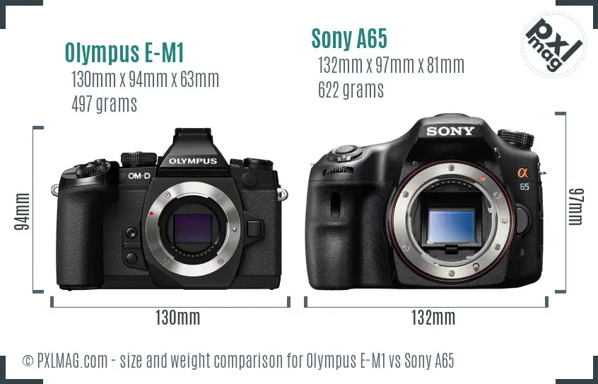 Olympus E-M1 vs Sony A65 size comparison